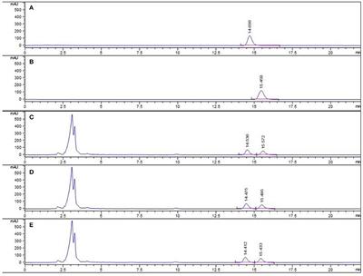 Psoralea corylifolia L. Attenuates Nonalcoholic Steatohepatitis in Juvenile Mouse